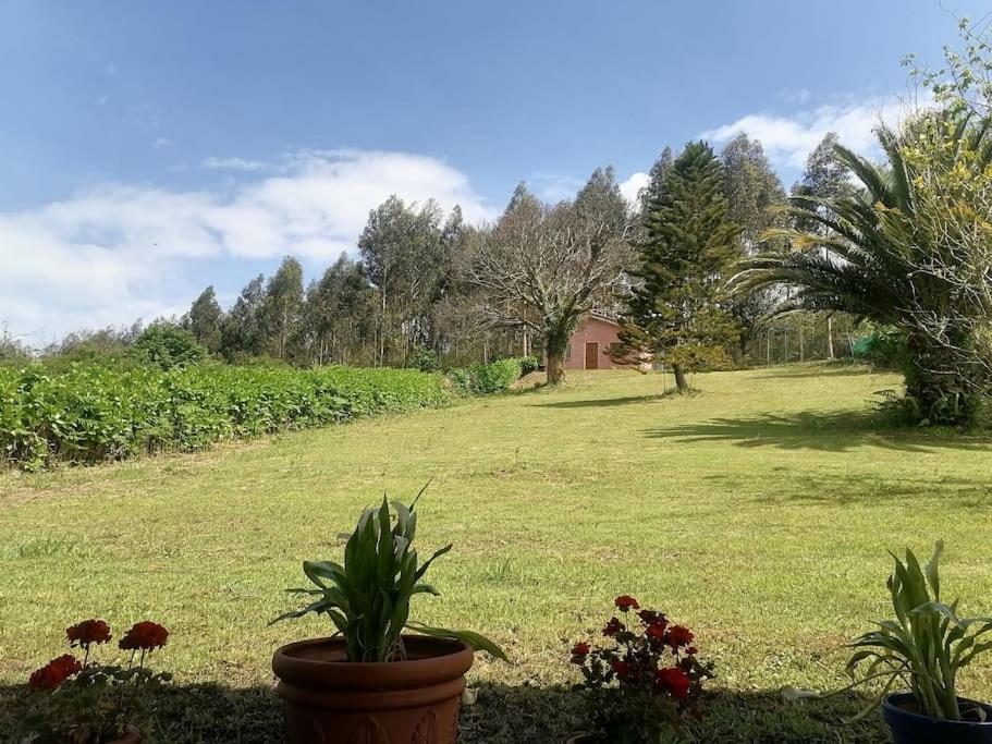 La Casa Azul De Lua Un Lugar Magico Villa Juncedo Exterior photo