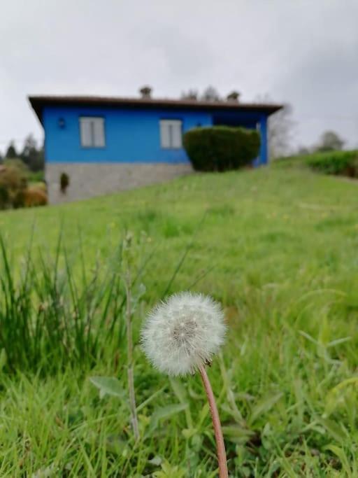 La Casa Azul De Lua Un Lugar Magico Villa Juncedo Exterior photo